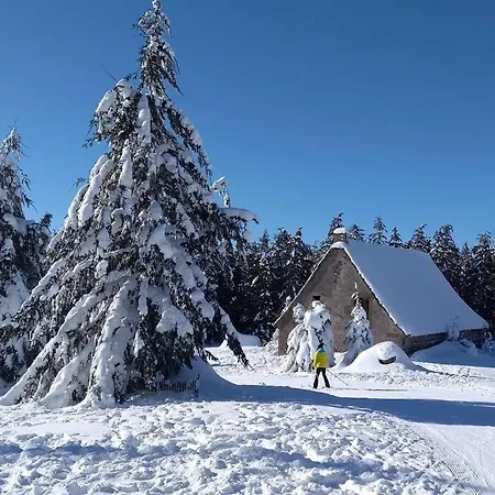 Maison Parc Des Volcans Proche Clermont-ferrand Nohanent